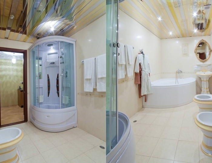 Номер люкс - Санаторий «Старица» Солотча